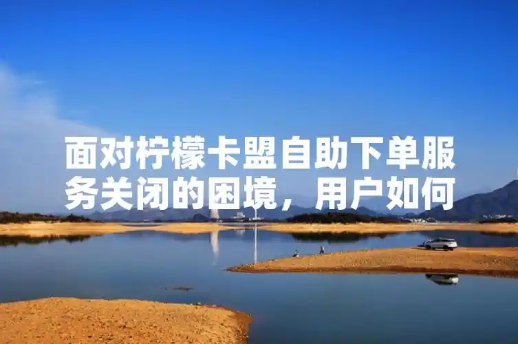 播放电视剧的软件_成年碟片播放播放_播放