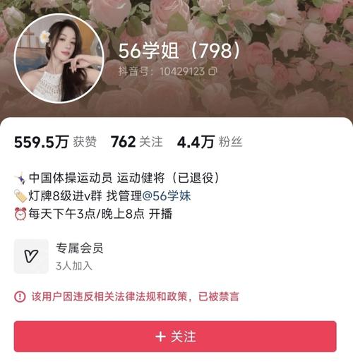 粉丝_蛤丝大战督粉_蔓丝利果蔬酵素粉价格