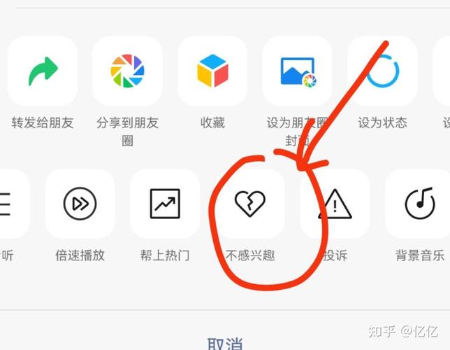 阅读作文1500字_阅读_阅读小报