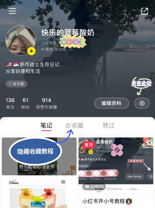 小红书点赞_小红书点赞有收益吗_小红书里面的赞有什么作用