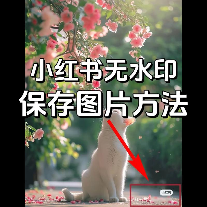 收藏_收藏的钱币有哪里可以交易_收藏空间的图片在哪里找