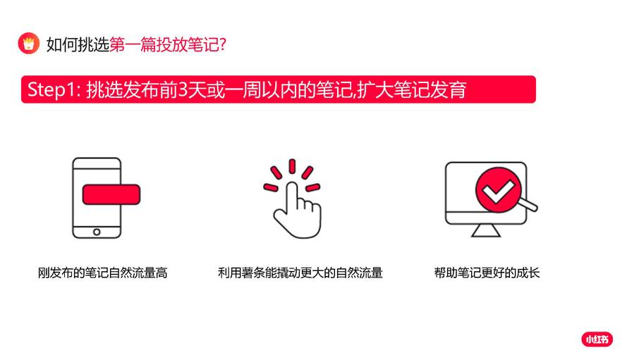 丝粉蒸虾的做法_粉丝_丝粉丝怎么做好吃