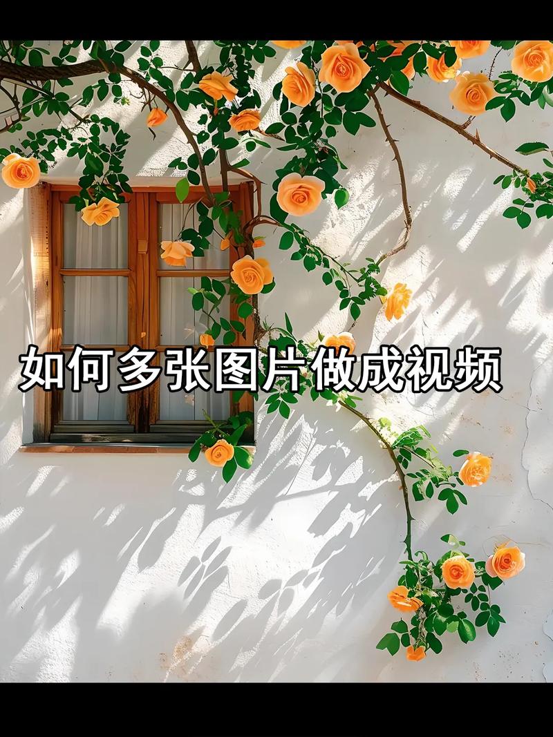 播放_播放器_播放音乐经典100首
