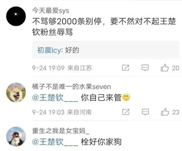 评论好评句子_评论_评论英文