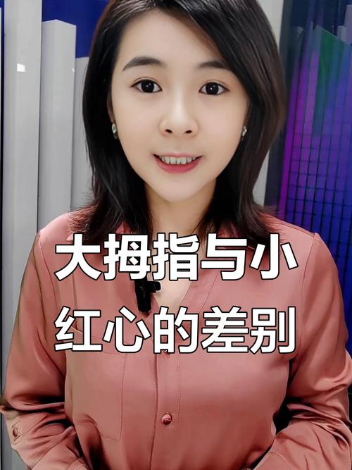 播放器大全观看打开_播放器_播放