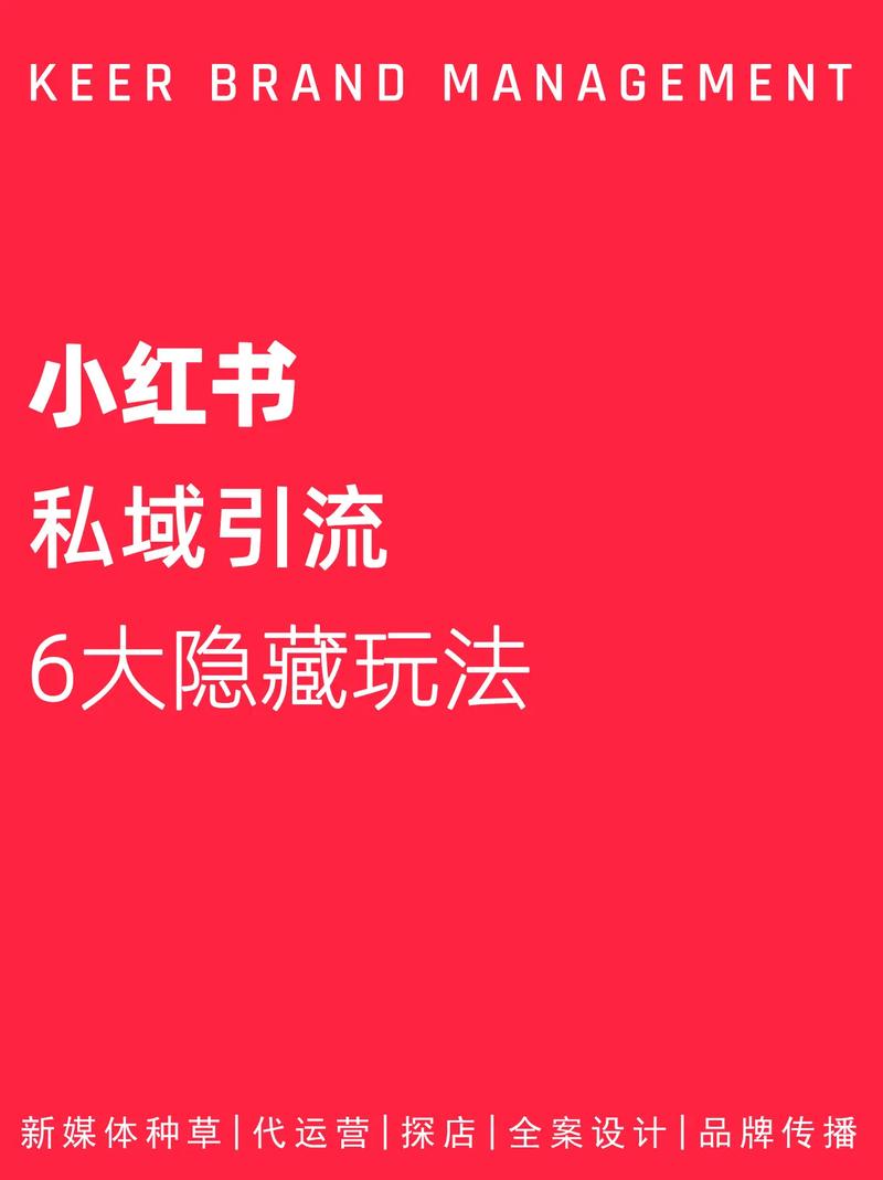 涨粉_小红书精准引流技巧_小红书新手引流玩法