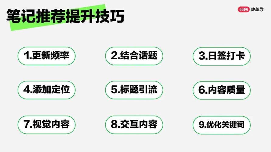 个人IP运营_公众号小红书联动_小红书