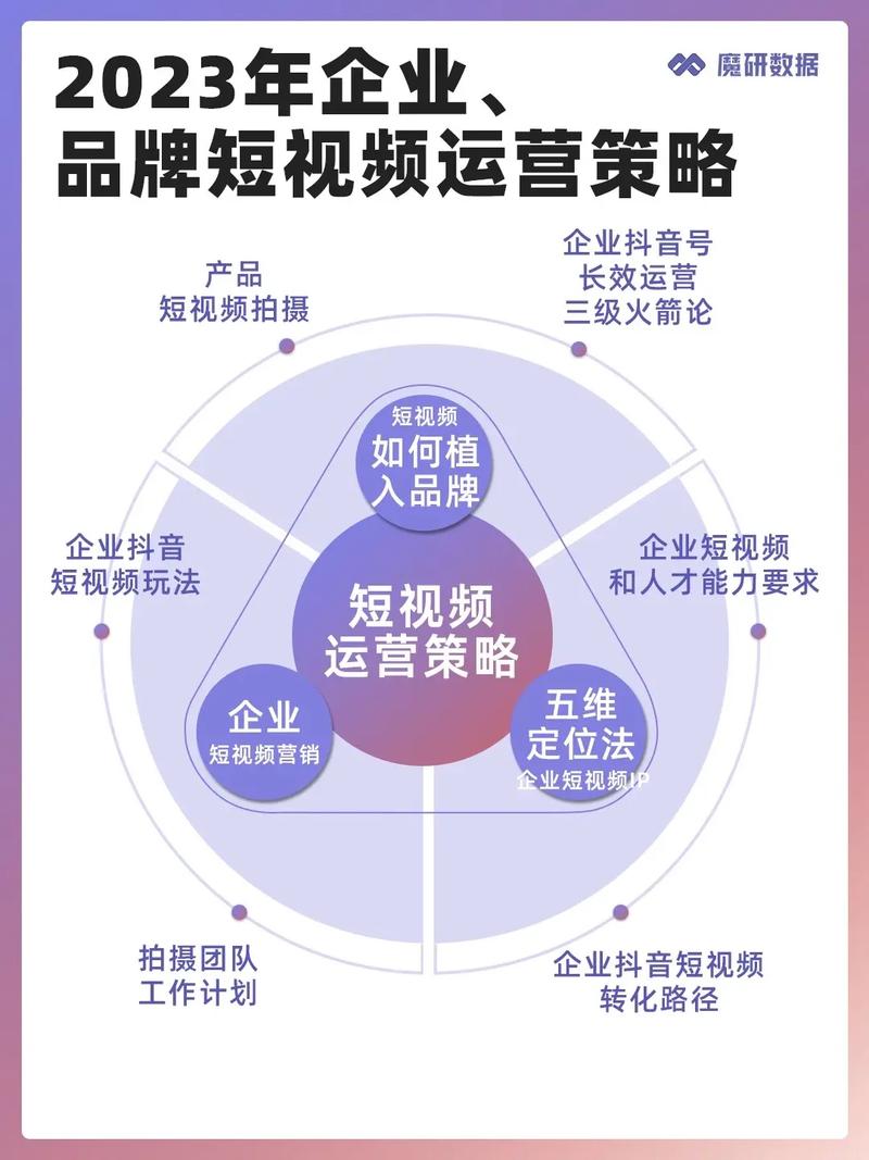 网红粉丝植入式营销_粉丝_短视频整合营销模式