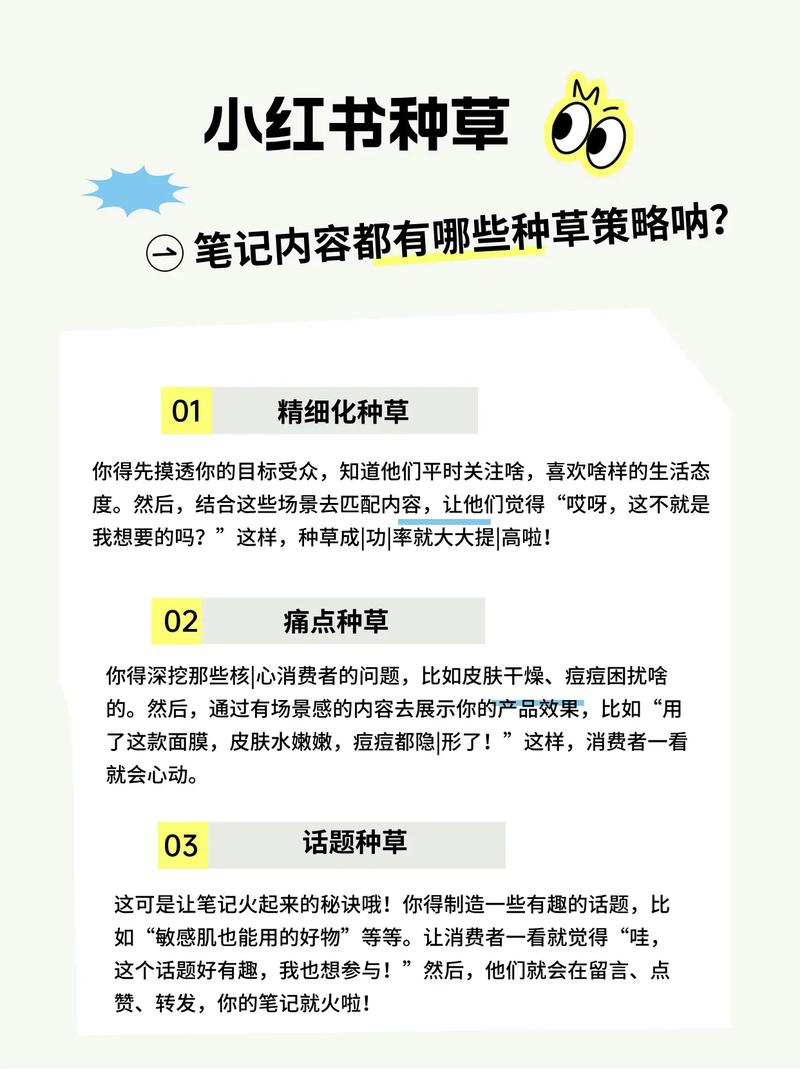 小红书种草投放组合 KFS_小红书信息流投放实操指南_小红书