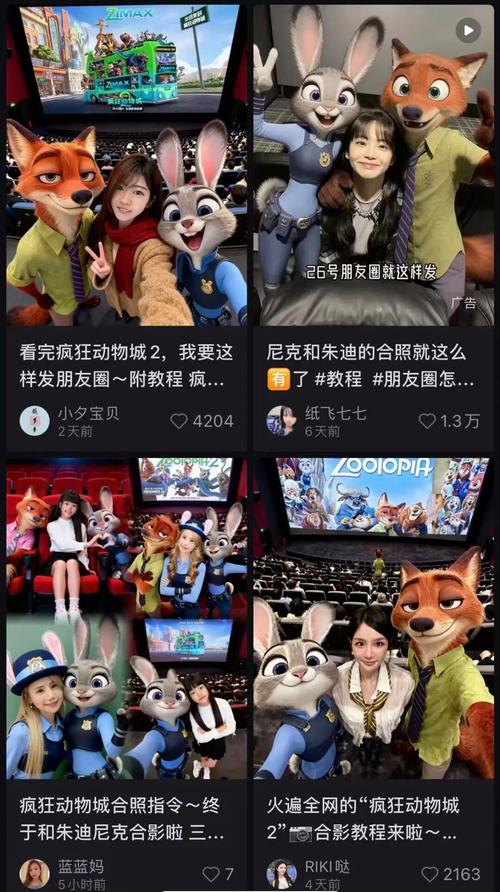 小红书点赞不关注原因_小红书点赞不关注怎么办_小红书