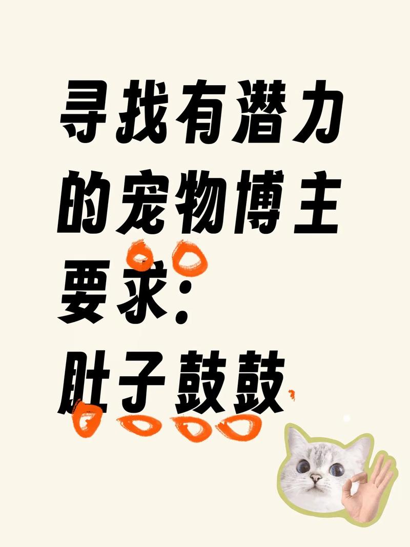 点赞_抖音萌宠视频拍摄技巧_抖音正能量内容创作