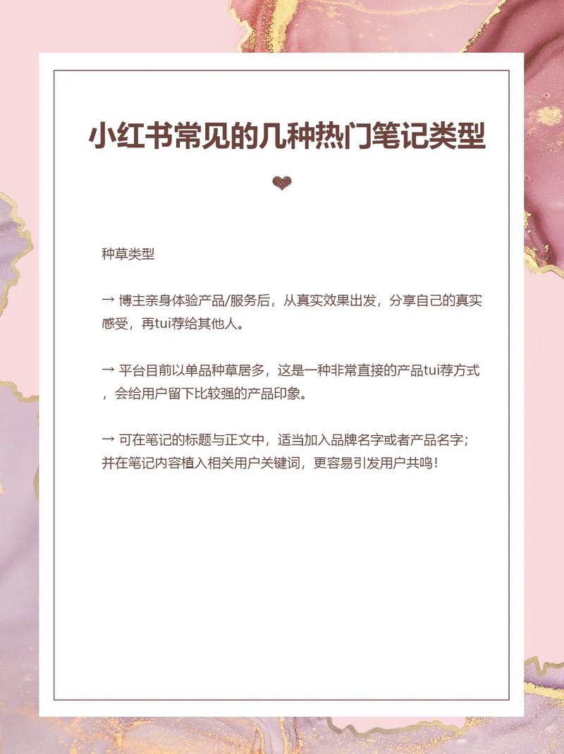 小红书_小红书领域分类_小红书分类设置