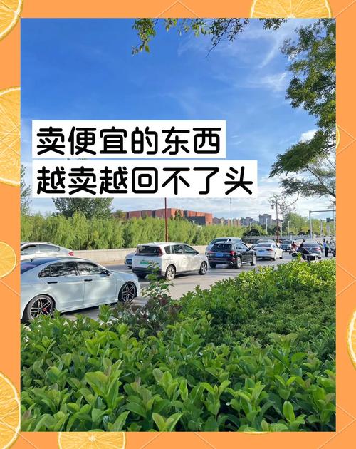 低价_人设定位模糊高客单_高客单IP定位