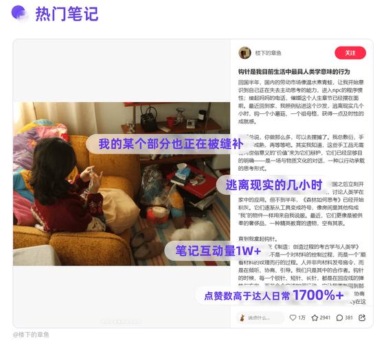 小红书_明星带货种草_小红书种草类型