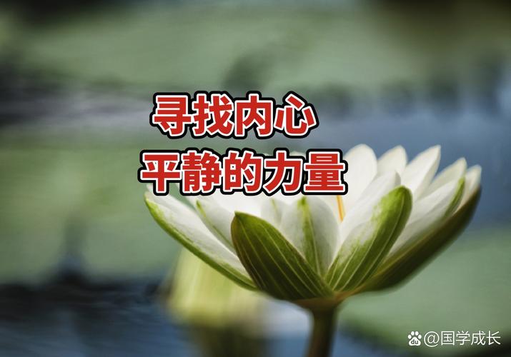 内心强大 淡然自若 向阳而生_阅读