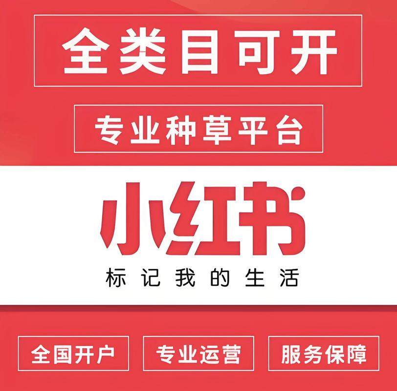 专业加粉平台_微博粉丝增长策略_小红书
